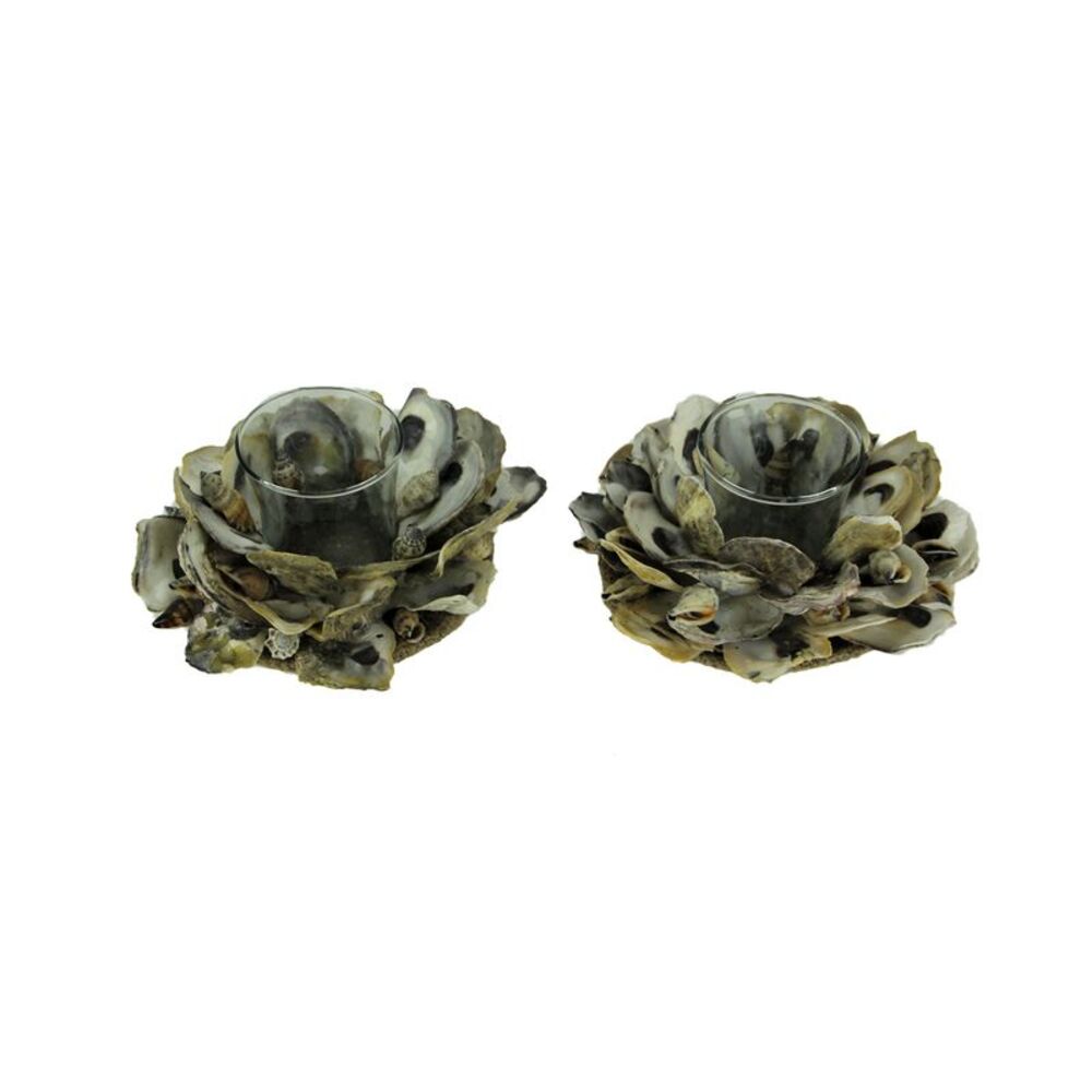 Natural Oyster Shell and Glass Tealight Candle Holder Set of 2